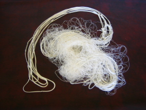 Gill Net