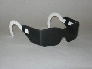 Disposable Sunglasses