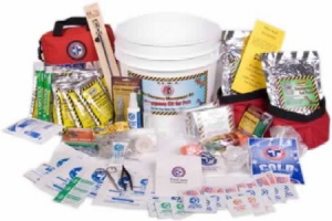 Cat Emergency Preparedness Kit