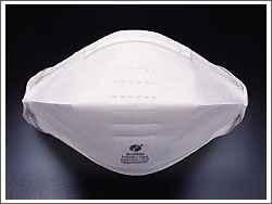 Closeouts! N95 Mask